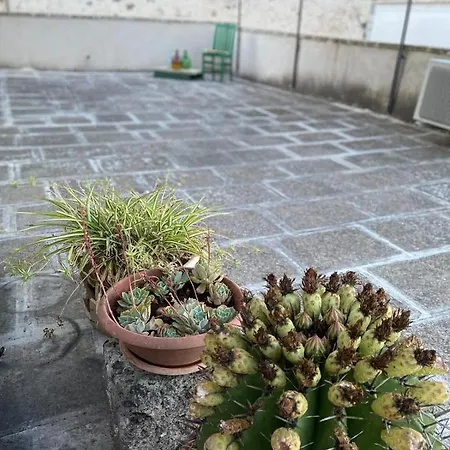 Apartment Li Beddhrizzi House Galatina